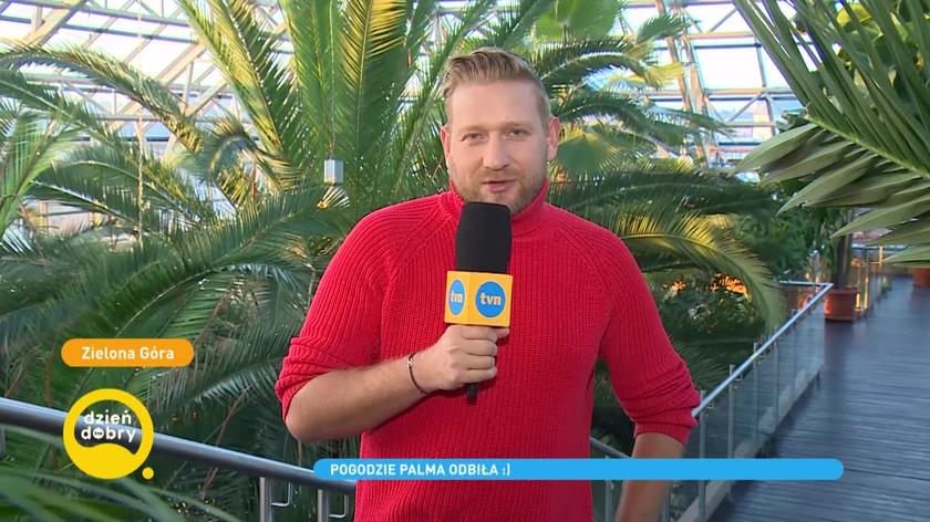 Zielona Góra Palmiarnia