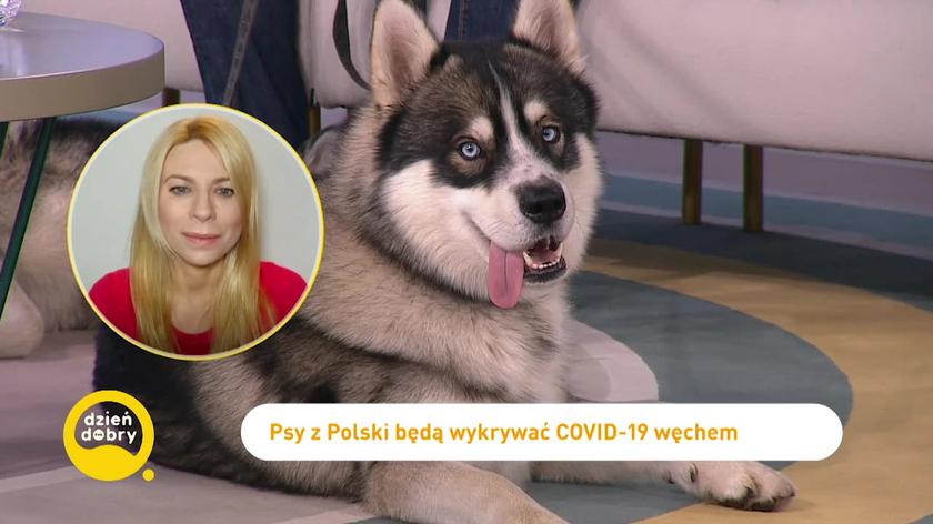 Husky i Aneta Awtoniuk