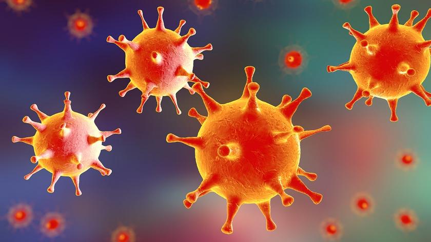 Wirus, który wywołue opryszczkę 