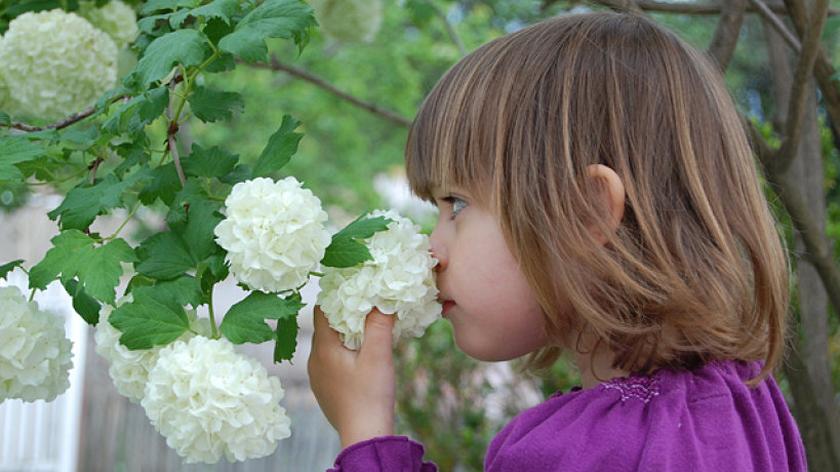 dziecko, dziewczynka 