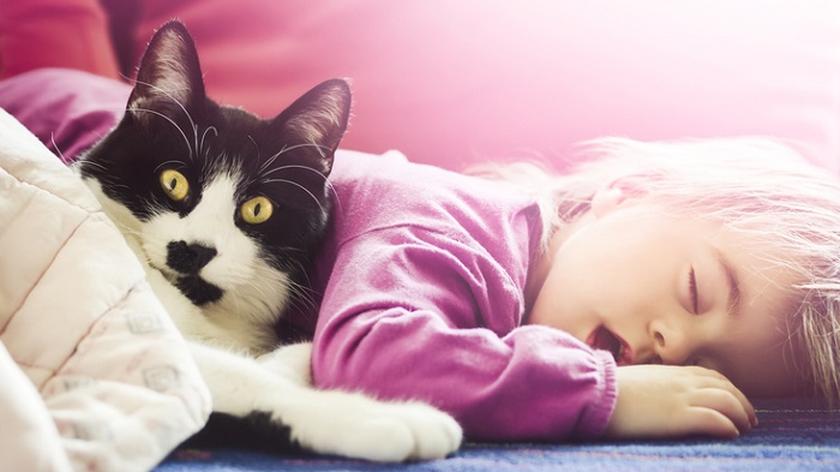 Dziecko śpi z kotem