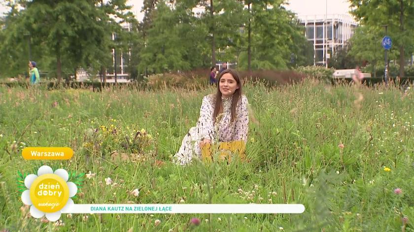 zalety łąk kwiatowych, Diana Kautz