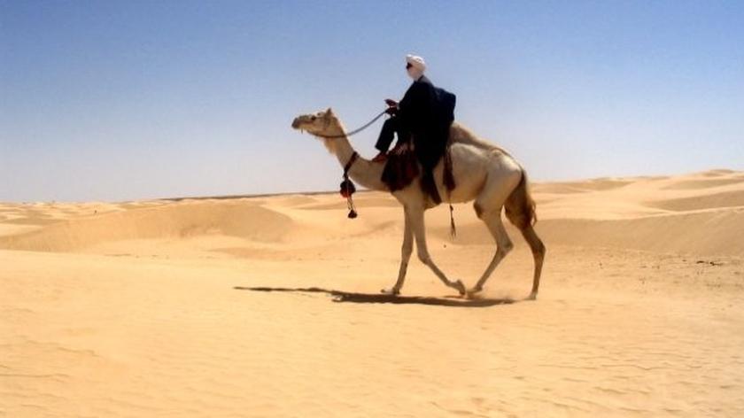 Sahara