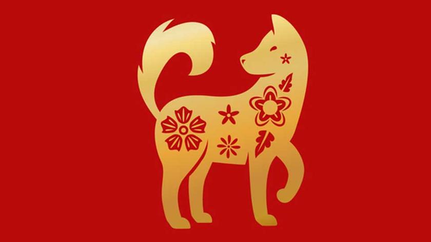 Chińskie znaki zodiaku - pies