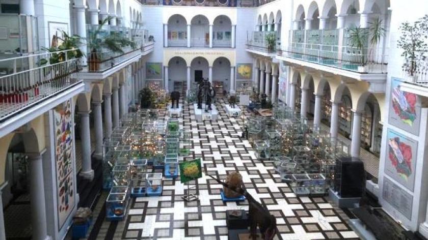 Muzeum Geologiczne w Warszawie