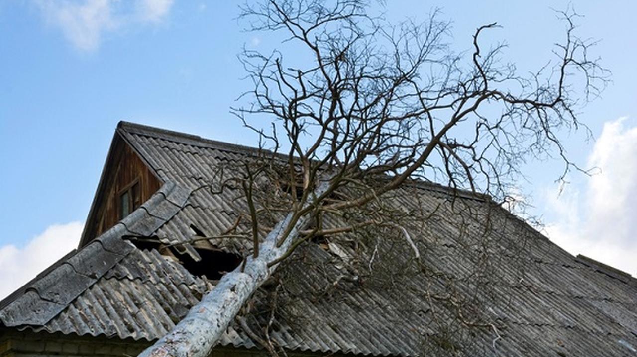 dach zniszczony drzewem w trakcie burzy