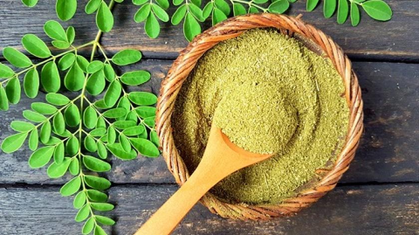 moringa