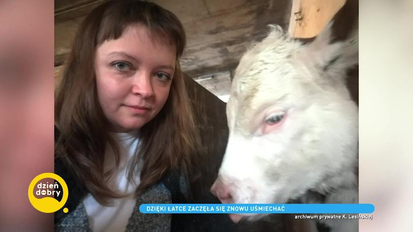 Krystyna i jej krowa Łatka