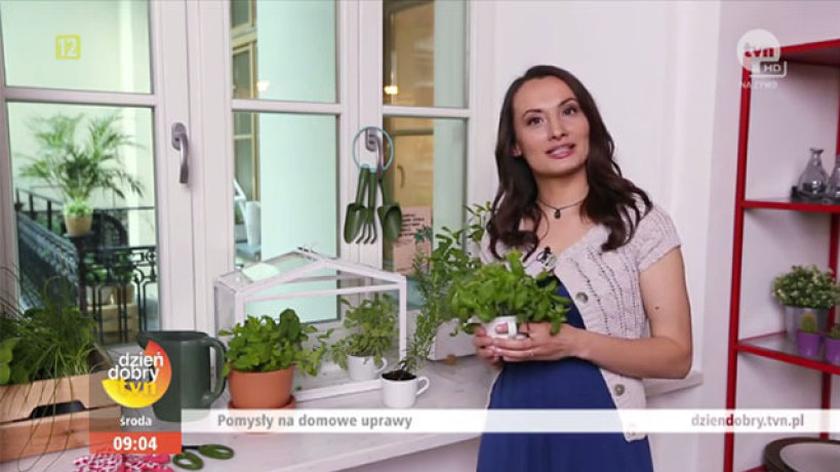 Katarzyna Dulko-Gaszyna