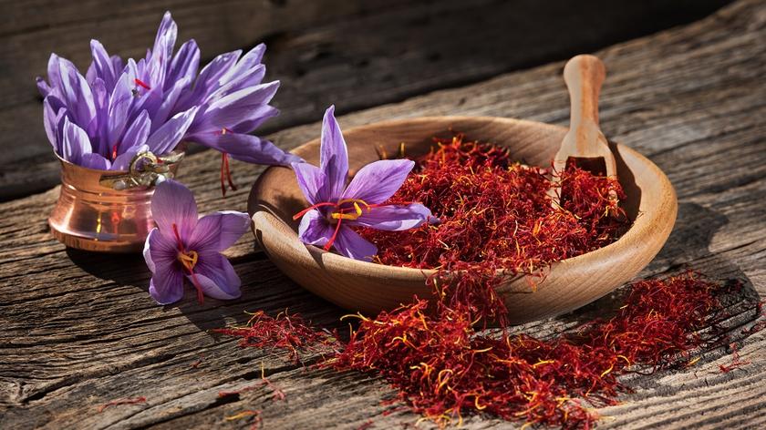 Szafran i kwiaty szafranu