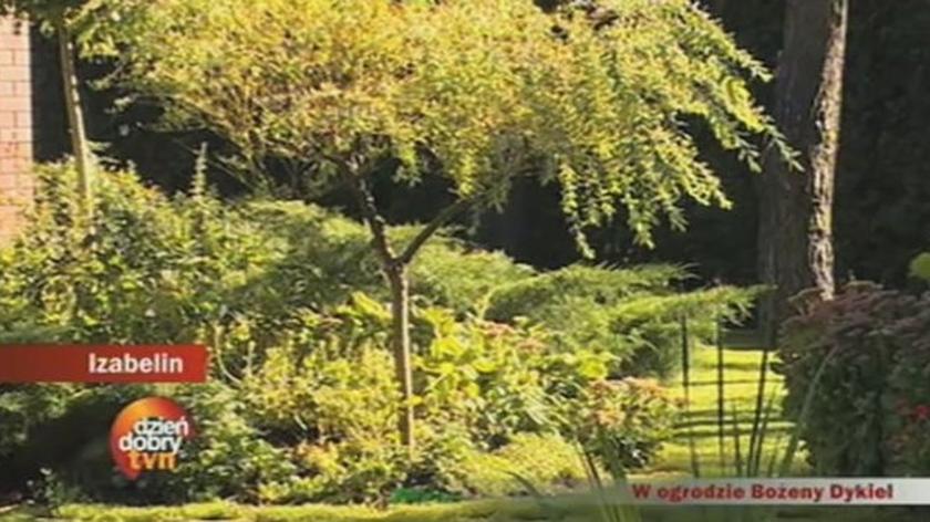 W ogrodzie Bożeny Dykiel
