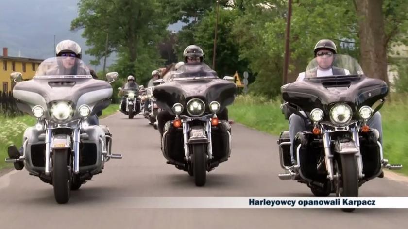Harleyowcy
