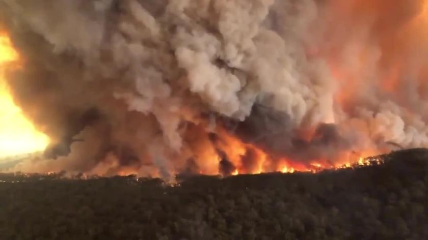 Pożary w Australii 