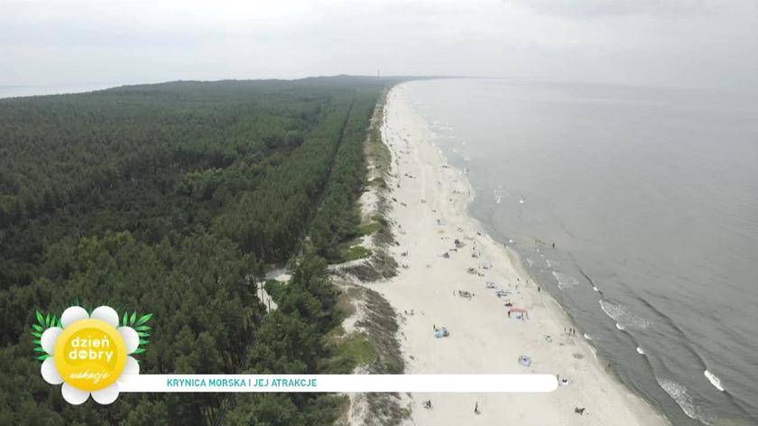 plaża w Krynicy Morskiej 