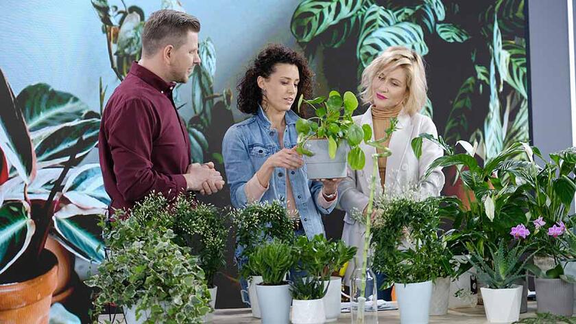 Anna Wojtala, florystka Kwiaciara 