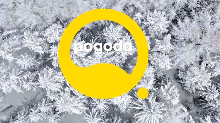 Pogoda