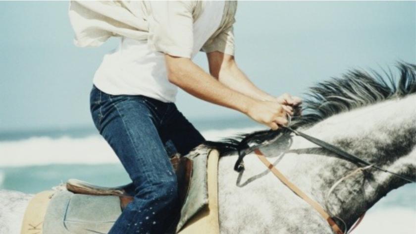 Kobieta dosiadająca konia o szarym umaszczeniu, ujęcie przedstawia fragment siodła i uda jeźdźca