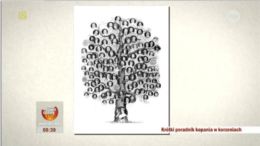 Drzewo genealogiczne