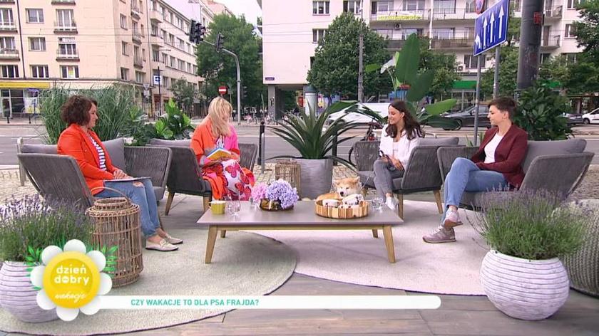 Ewa Drzyzga i Agnieszka Woźniak-Starak rozmawiają z gośćmi na kanapie Dzień Dobry TVN