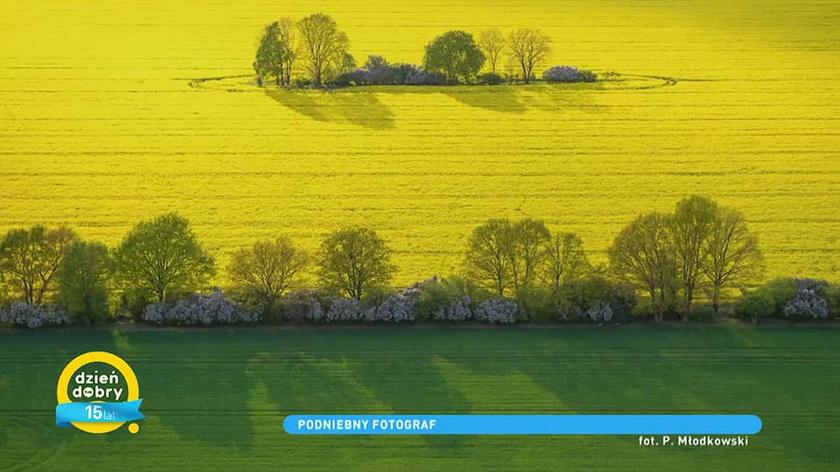 Fotografia z lotu ptaka autorstwa Pawła Młodkowskiego