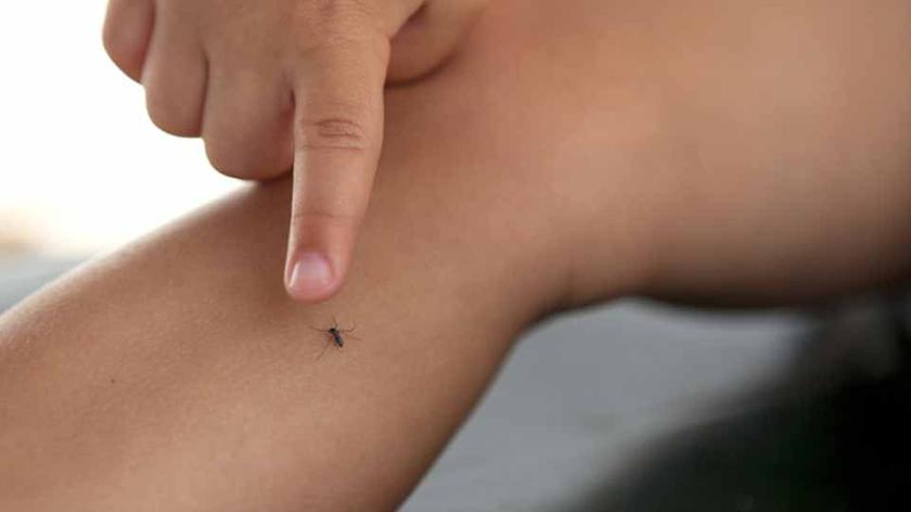 Komar gryzie dziecko w nogę