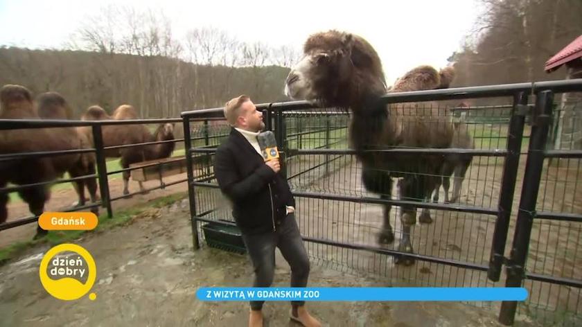 Bartek Jędrzejak w gdańskim ZOO