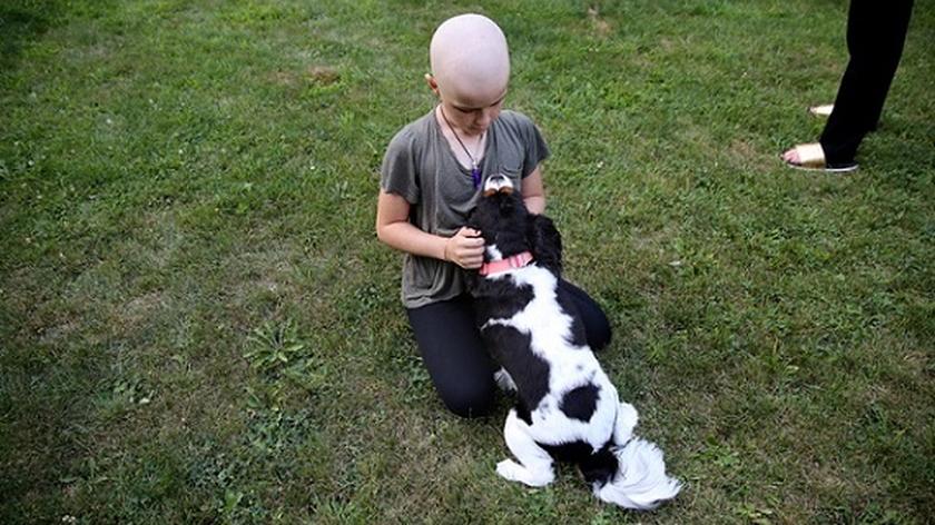 chore dziecko z psem, dogoterapia