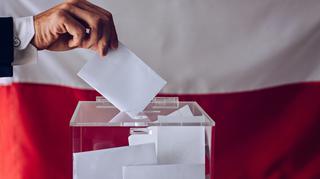 Wybory prezydenckie 2020 - Państwowa Komisja Wyborcza podała cząstkowe wyniki głosowania
