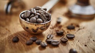 Kawa arabika a robusta – jakie są między nimi różnice? Którą wybrać?