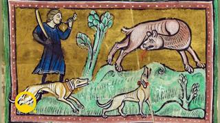 Jak postrzegano zwierzęta w średniowieczu? 