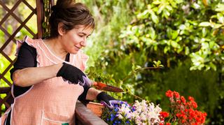 Kwiaty jesienne na balkon i do ogrodu – jakie rośliny kwitną jesienią i które wybrać?