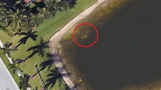 Mieszkaniec Florydy odnaleziony po 22 latach dzięki Google Earth