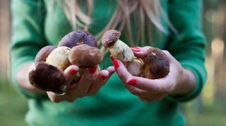 Jedzenie grzybów może zmniejszyć ryzyko zachorowania na raka. Które są najzdrowsze?