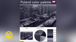 Szara codzienność Polaków. Co o nas mówi wybór tego koloru w życiu?