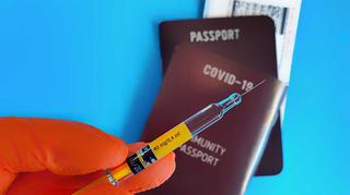 Polska przystąpiła do systemu unijnych certyfikatów COVID. Czy tylko osoby z paszportem covidowym będą mogły podróżować?