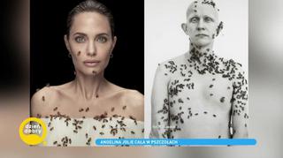 Angelina Jolie w spektakularnej sesji. Jej ciało pokryto żywymi pszczołami: 