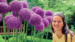 Cebulki kwiatowe – przewodnik dla początkującego ogrodnika