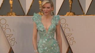 Cate Blanchett miała wypadek. Aktorka zraniła się piłą łańcuchową