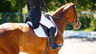 Spodnie do jazdy konnej – jak wybrać bryczesy