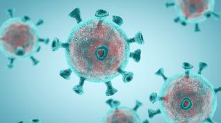 Naukowcy z Izraela są bliscy ukończenia szczepionki na koronawirusa. Testy zaczną się niebawem