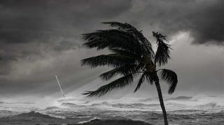 Huragan Dorian uderzył w Bahamy. Prędkość wiatru spadła do 193 km/h. Przemieszcza się w stronę USA. 