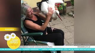 Malbork: Rodzina uratowała pisklę bociana. Odchowała go i nauczyła latać