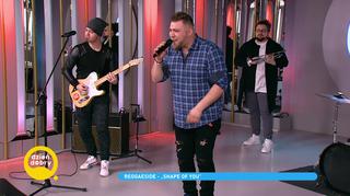 Zespół Reggaeside na scenie Dzień Dobry TVN. Jak wypadł w piosence Eda Sheerana?