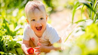 Letnie owoce w diecie rocznego dziecka – na co zwrócić uwagę?