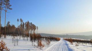 Rekord upałów na biegunie zimna. Jakie są przyczyny nietypowej pogody?