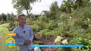 11-letni Marek w swoim ogrodzie ma ponad 1000 roślin. Mama chłopca: 