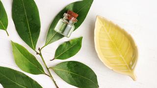 Olejek kamforowy – naturalne lekarstwo na ból ucha
