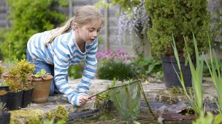 Jak wybrać plastikowy wkład do oczka wodnego w ogrodzie?