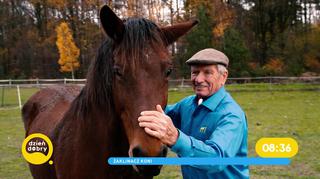 Monty Roberts – legendarny zaklinacz koni. Podziwia go Królowa Elżbieta!