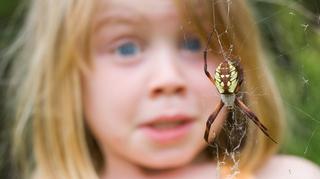 Czym jest arachnofobia i jakimi sposobami można z nią walczyć? Czy pająki są rzeczywiście takie straszne?